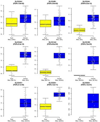 Clinical Significance of Organic Anion Transporting Polypeptide Gene Expression in High-Grade Serous Ovarian Cancer